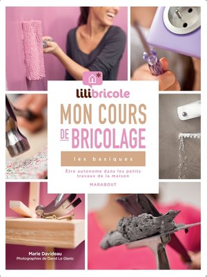 cover image of Lili bricole